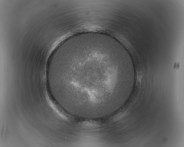 X0000113280630200909211040