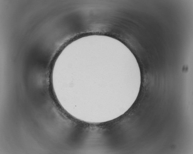 X0000113280632200909211040