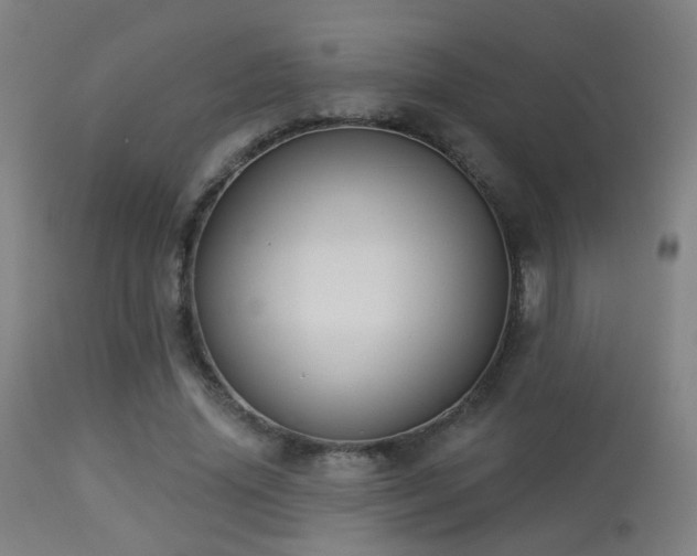 X0000113280636200909211040