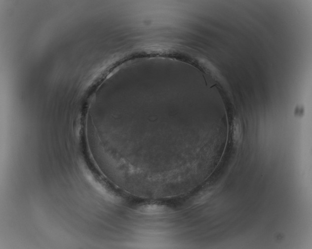 X0000113280637200909211040