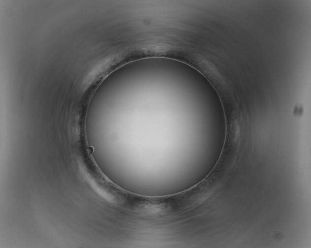 X0000113280638200909211040