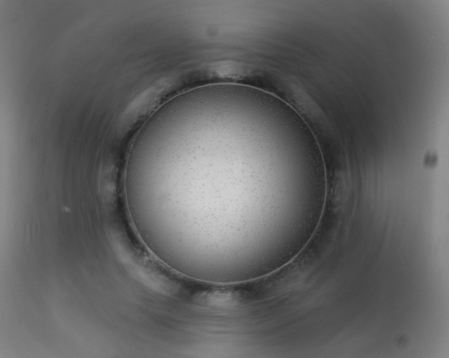 X0000113280639200909211040