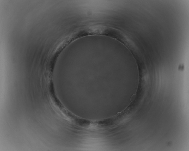 X0000113280641200909211040