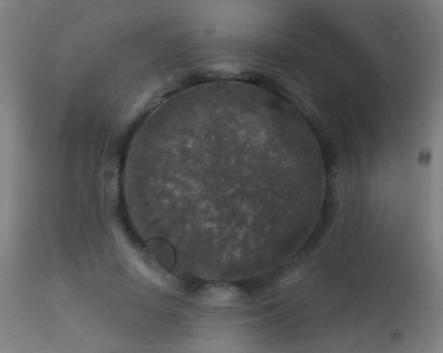 X0000113280642200909211040