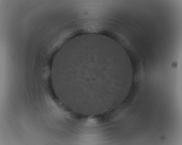 X0000113280647200909211040