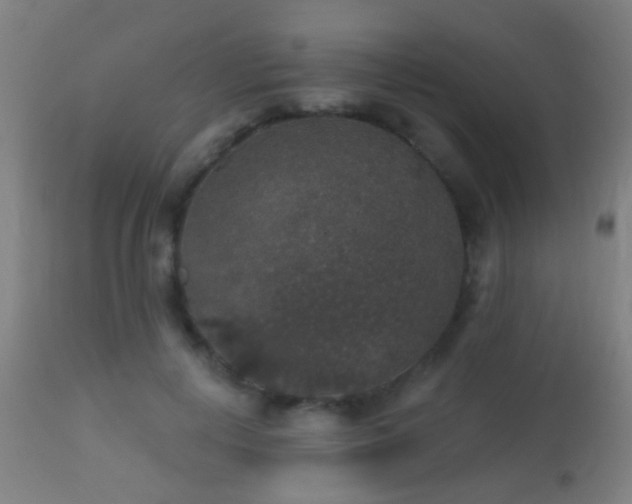 X0000113280648200909211040