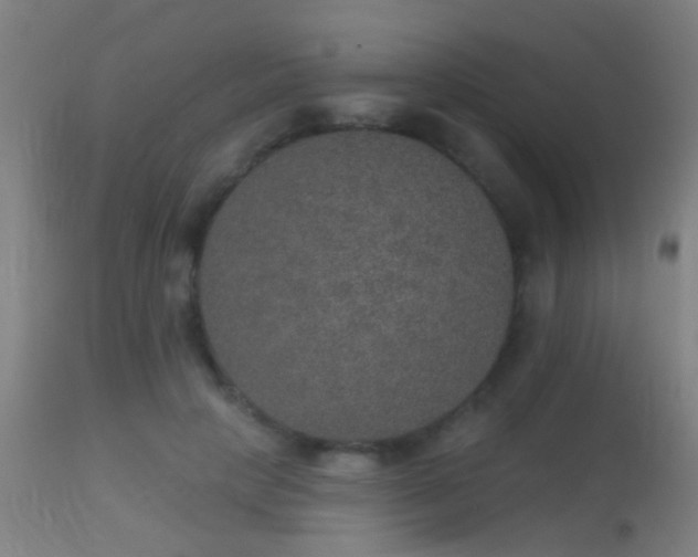 X0000113280649200909211040