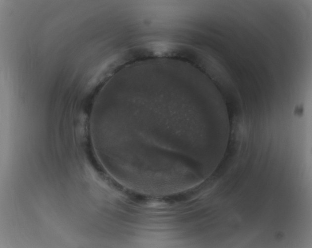 X0000113280650200909211040