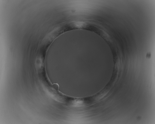 X0000113280651200909211040