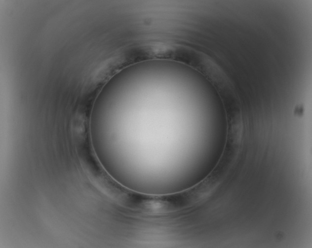 X0000113280654200909211040