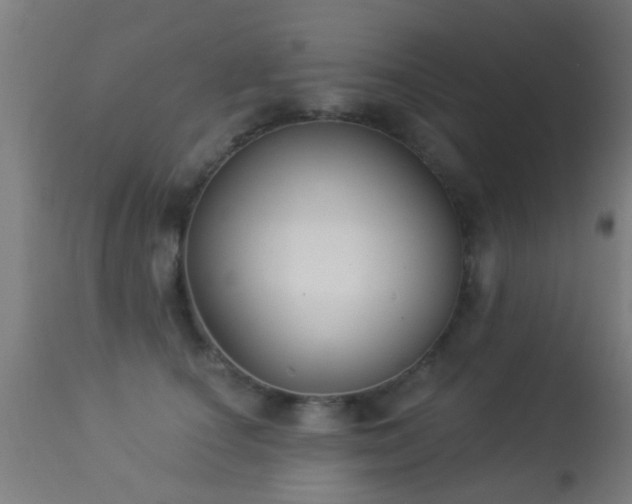 X0000113280660200909211040