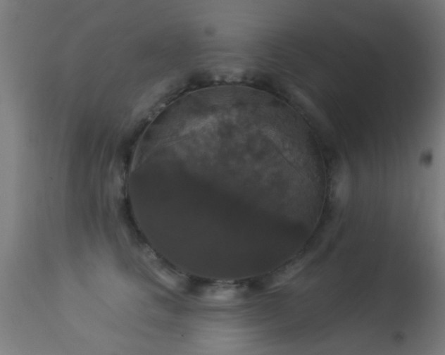 X0000113280661200909211040