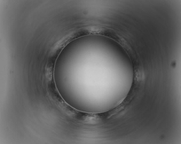 X0000113280666200909211041