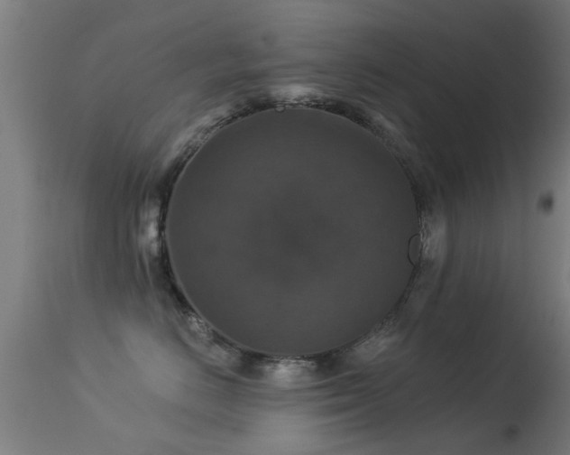 X0000113280670200909211041