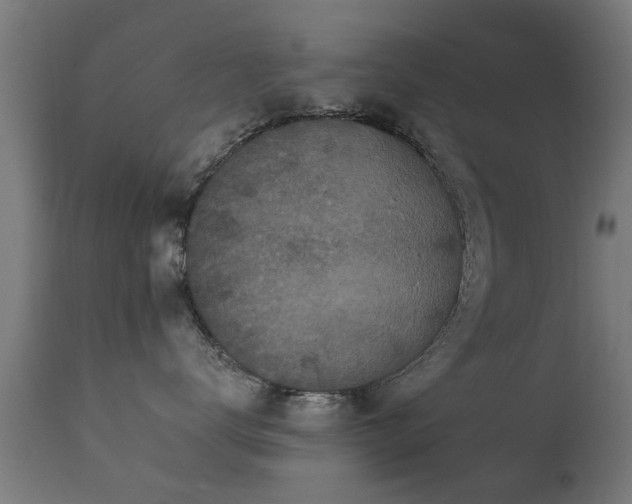 X0000113280672200909211041