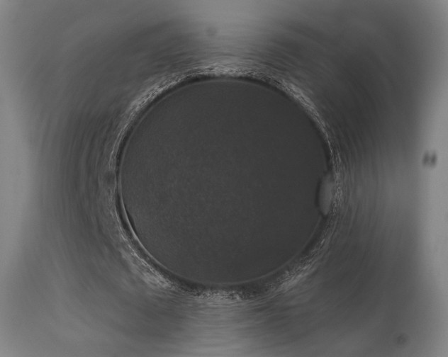 X0000113280673200909211040