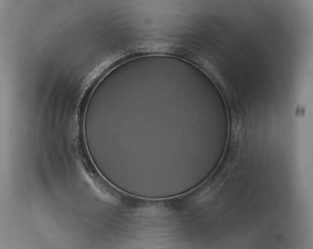 X0000113280674200909211040