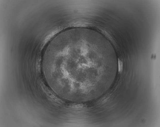 X0000113280675200909211040