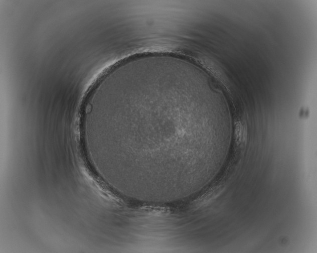 X0000113280676200909211040