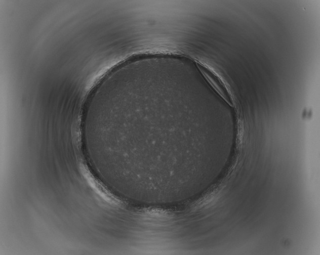 X0000113280677200909211040