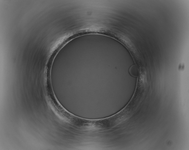 X0000113280678200909211040