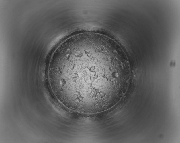 X0000113280679200909211040