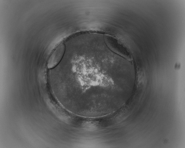 X0000113280680200909211040