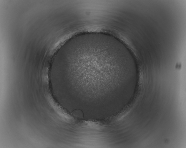 X0000113280681200909211040