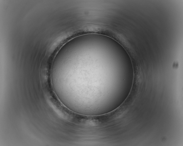 X0000113280683200909211040