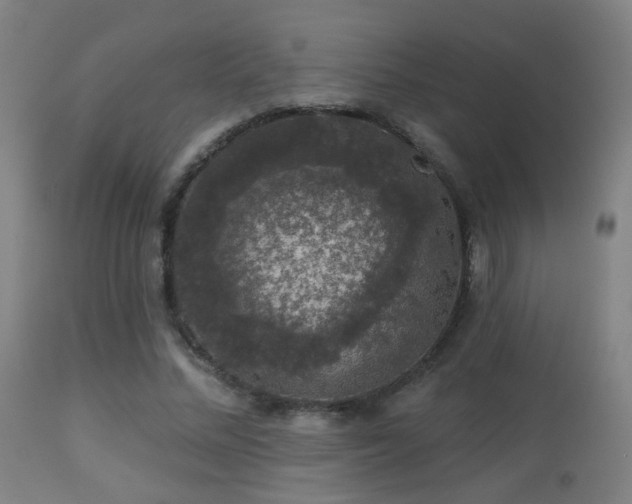 X0000113280684200909211040