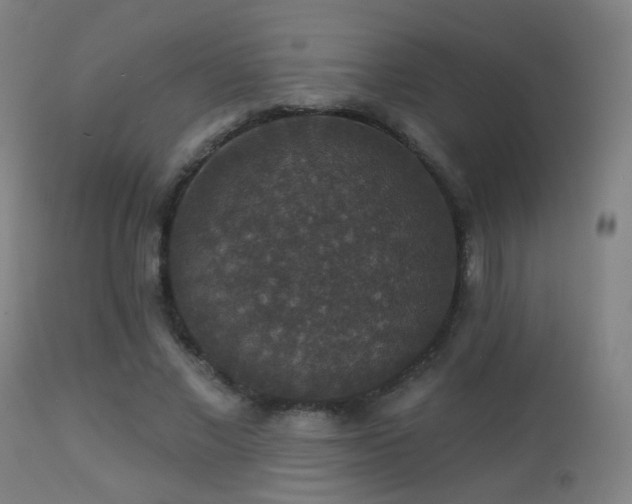 X0000113280685200909211040