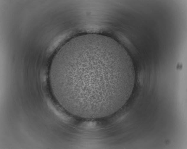 X0000113280687200909211040