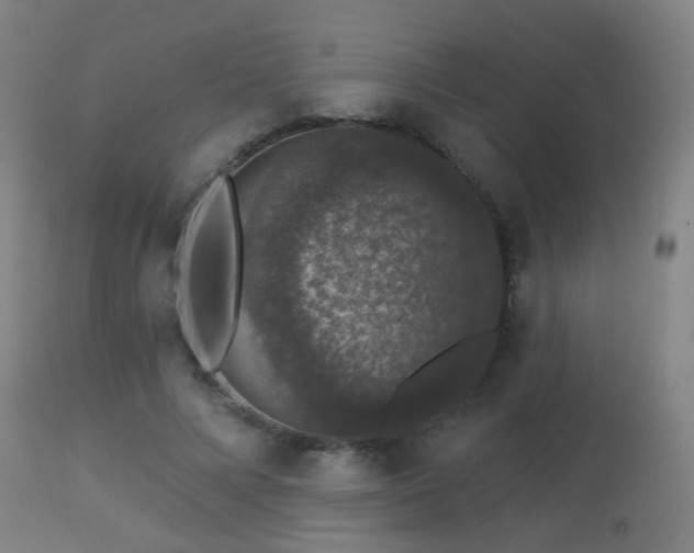 X0000113280688200909211040