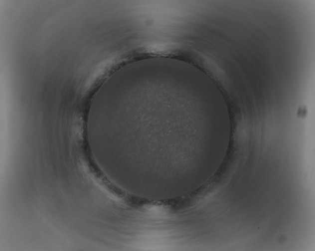 X0000113280689200909211040