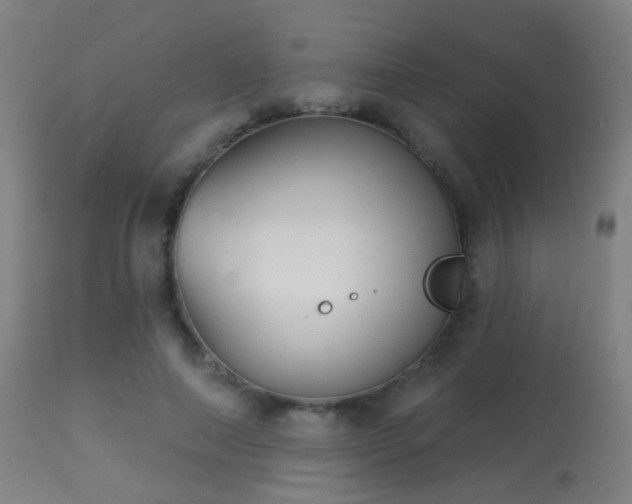 X0000113280690200909211040