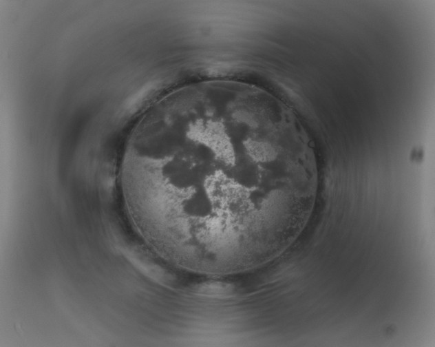 X0000113280691200909211040