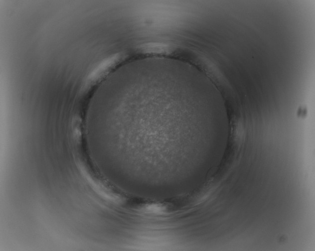 X0000113280692200909211040