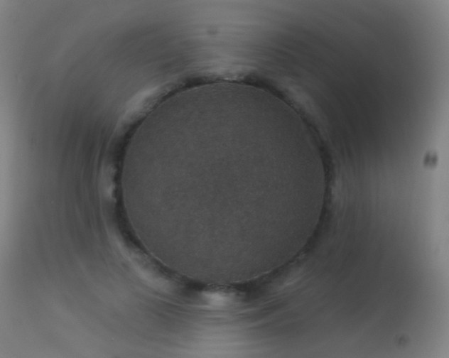 X0000113280693200909211040