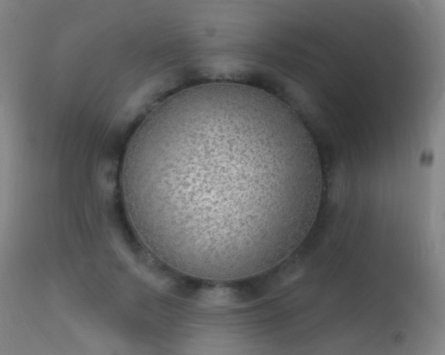 X0000113280695200909211040