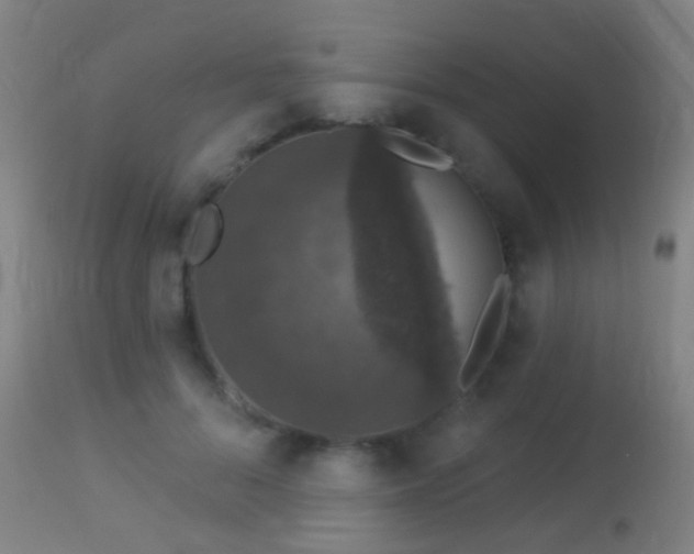 X0000113280696200909211040