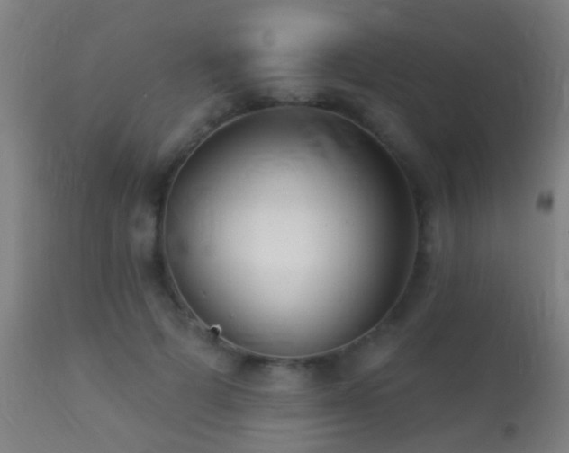 X0000113280697200909211040