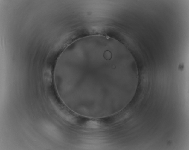 X0000113280699200909211040