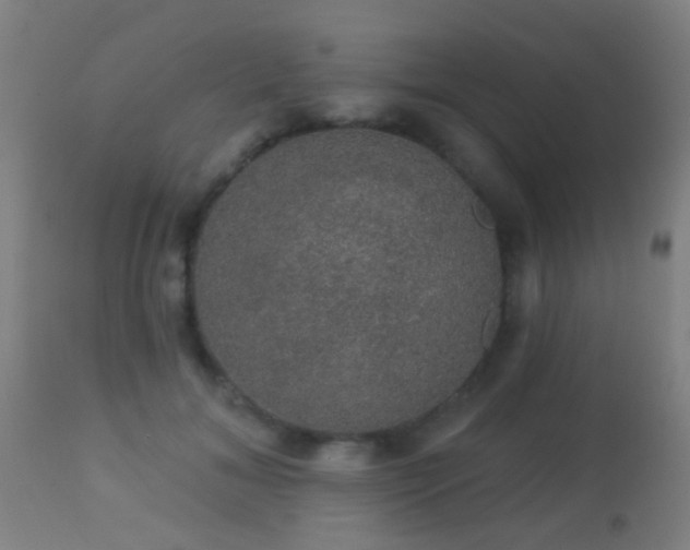 X0000113280700200909211040