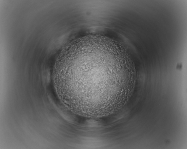 X0000113280703200909211040