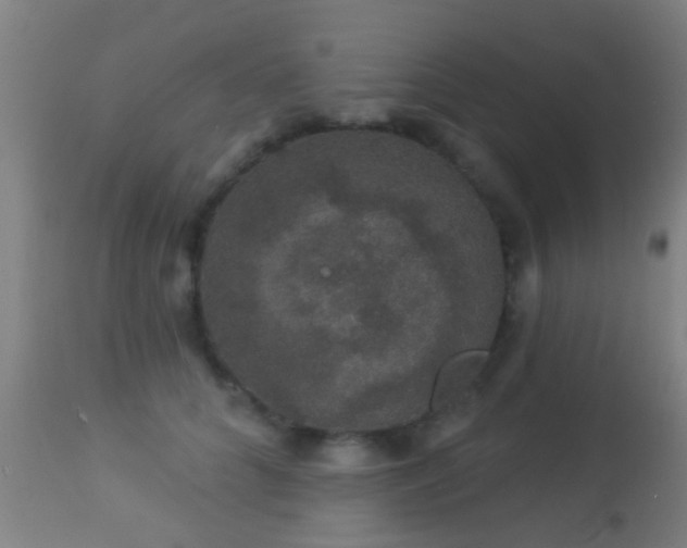 X0000113280704200909211039