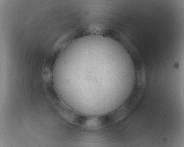 X0000113280705200909211039