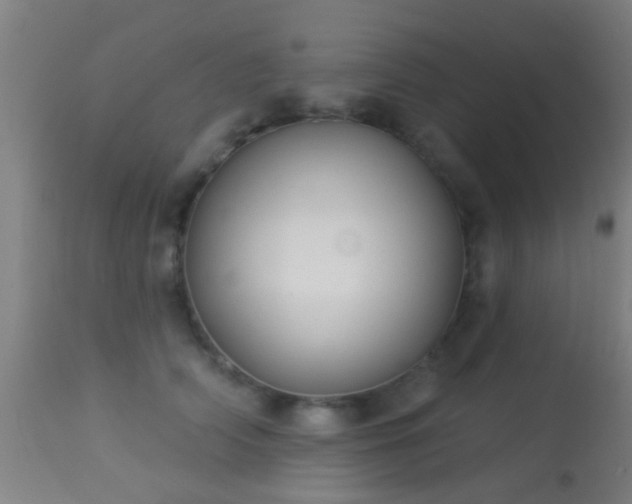 X0000113280706200909211039