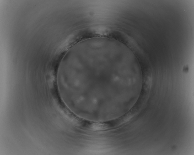 X0000113280707200909211039