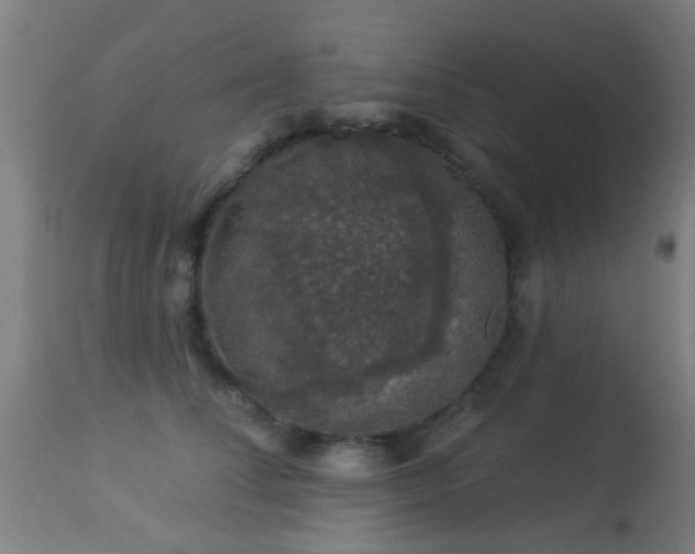 X0000113280708200909211039