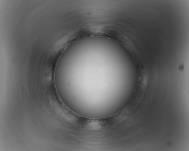 X0000113280710200909211039